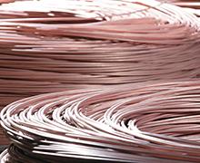 2 le noyau XLPE a isolé ignifuge engainé par PVC d'intérieur de noir d'utilisation de cable électrique