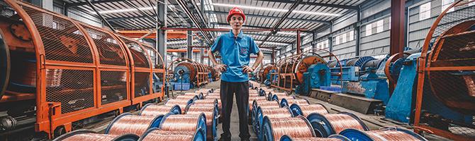 Bruit, câble d'alarme et de sécurité multipolaire, PVC protégé par aluminium d'en cuivre d'ours de brin isolé et petit pain de gaine dans l'aluminium