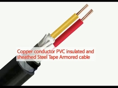 Conductor di rame PVC isolato e rivestito Nastro di acciaio Cavo blindato
